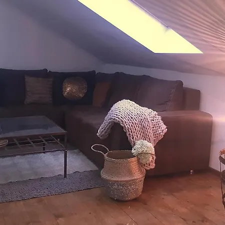 Casa de hóspedes Florens, Nesvady