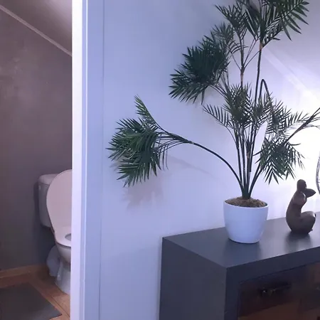 Florens, Casa de hóspedes 4*